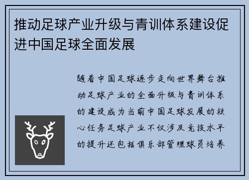 推动足球产业升级与青训体系建设促进中国足球全面发展